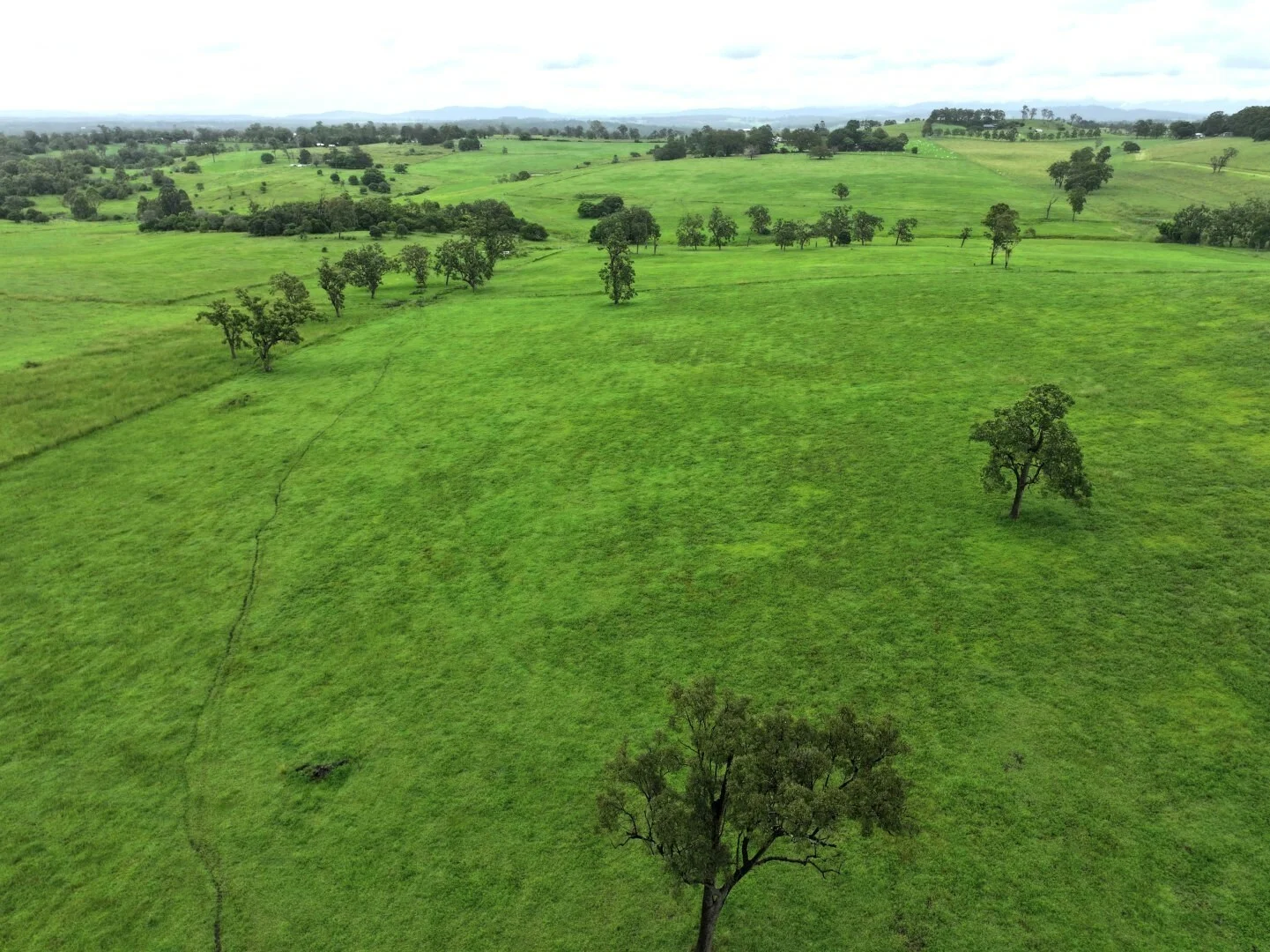 Additional image 20 of 284 Upper Stratheden Road, Kyogle NSW 2474