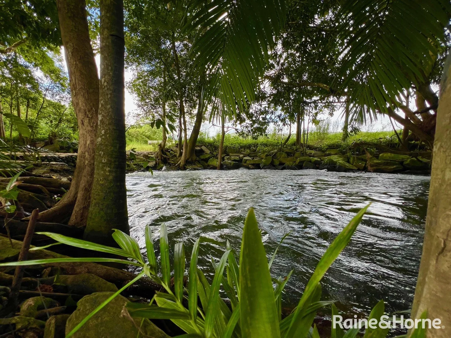 Additional image 19 of 217 Cassowary Road, Cassowary QLD 4873