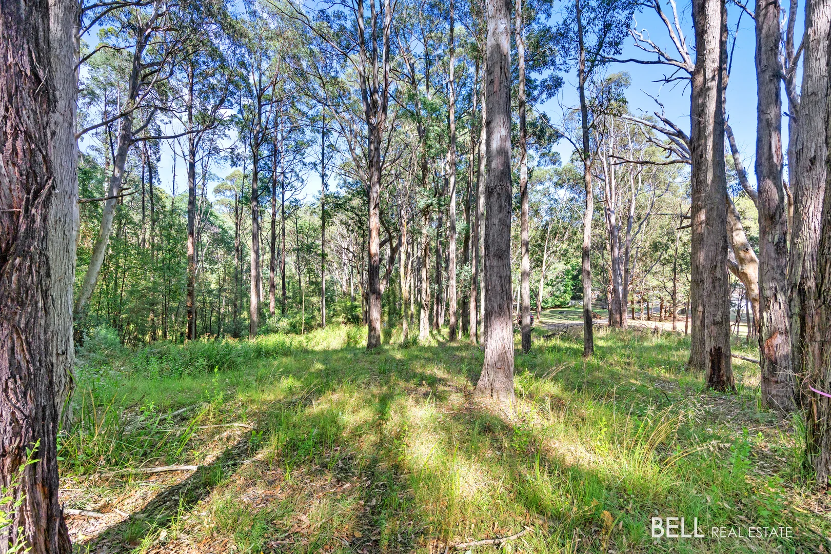 Additional image 5 of 400 Old Warburton Road, Warburton VIC 3799