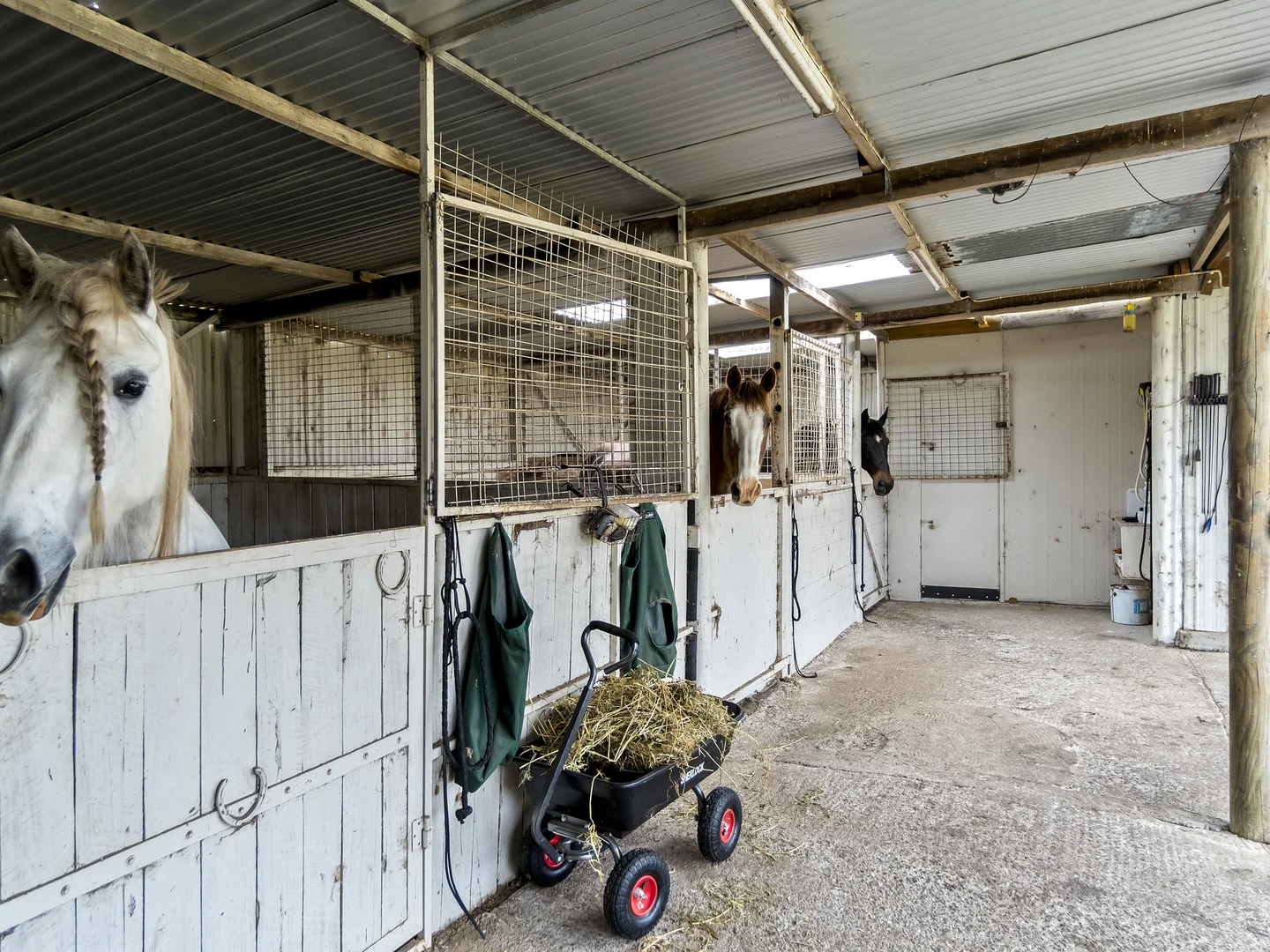 Additional image 14 of 180 Beeac-Dreeite Road, Beeac VIC 3251