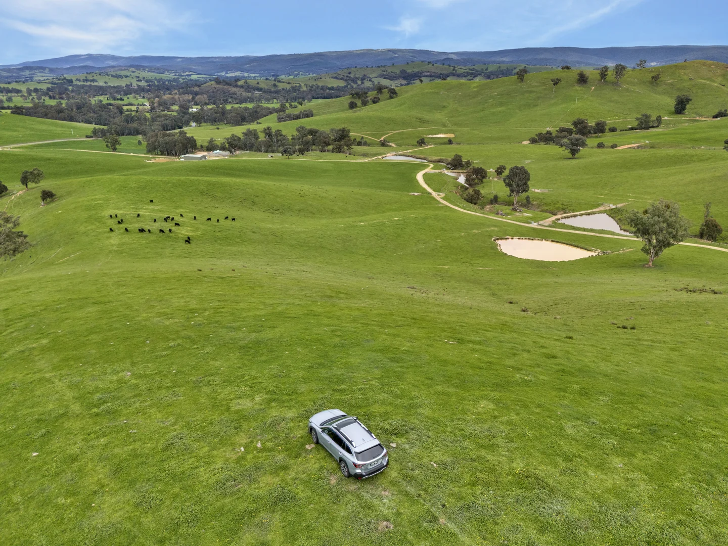 Additional image 22 of 146 Hobans Road, Alexandra VIC 3714