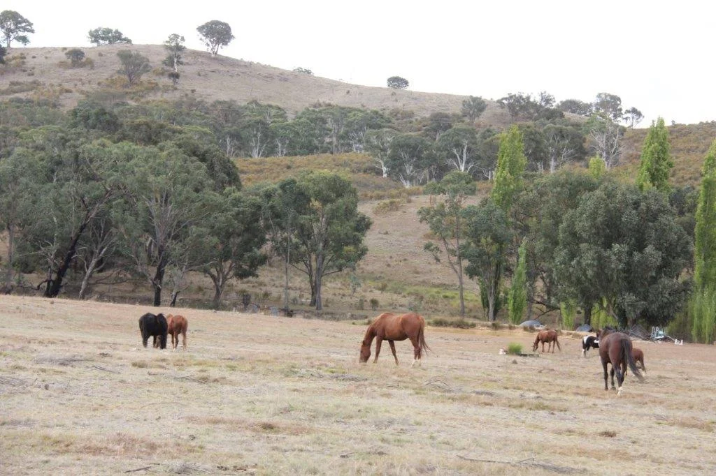 2137 Kiowarrah Road, Bevendale NSW 2581