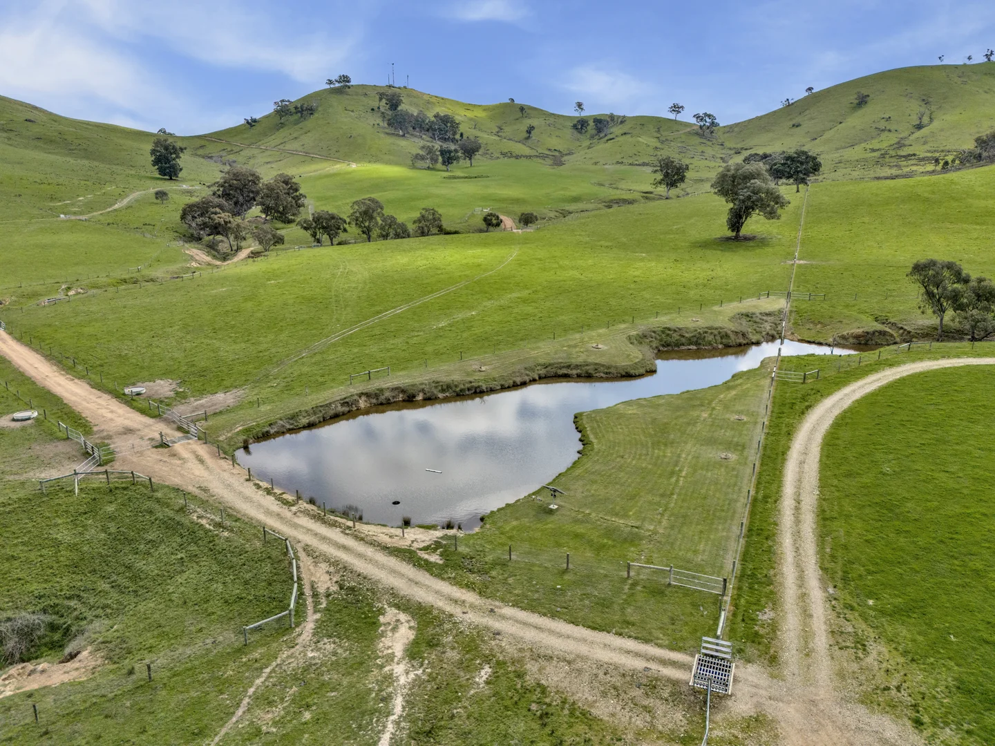 Additional image 18 of 146 Hobans Road, Alexandra VIC 3714