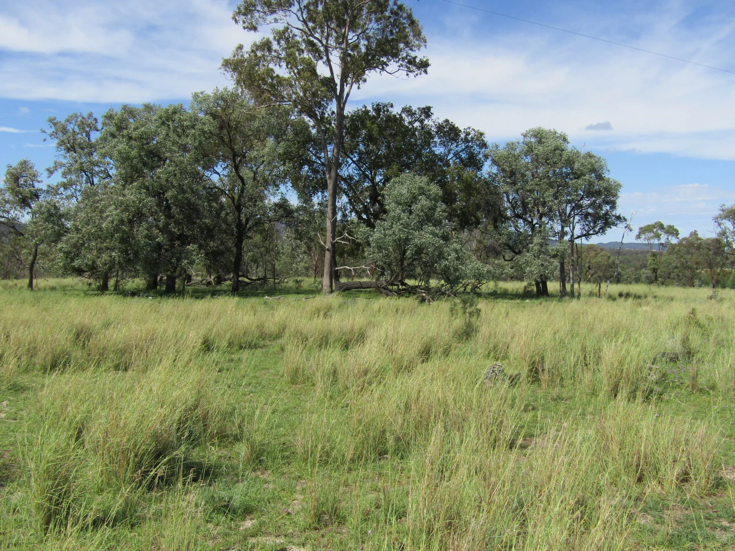 Additional image 16 of 1461 Atholwood Road, Bonshaw NSW 2361