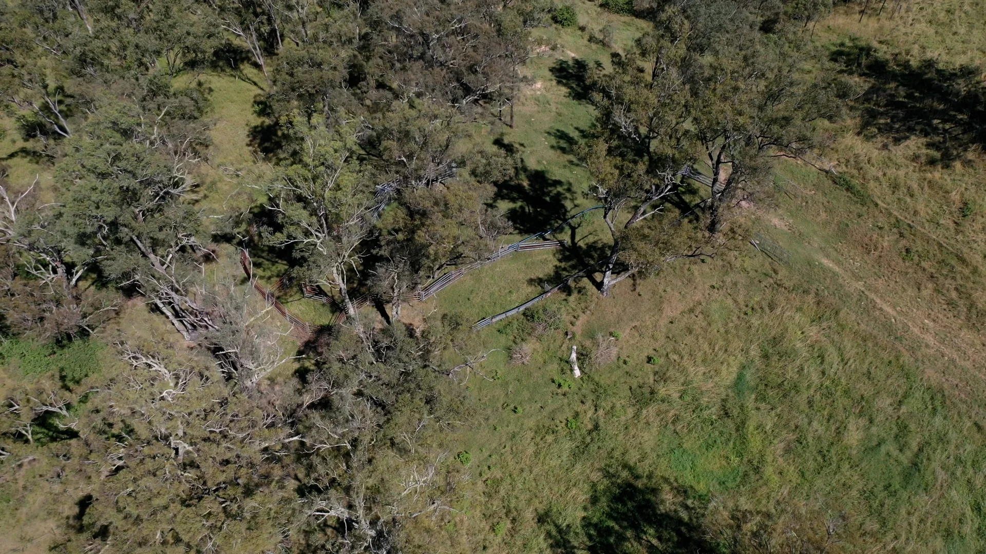 Additional image 8 of 23 Rivertree Road, Tenterfield NSW 2372