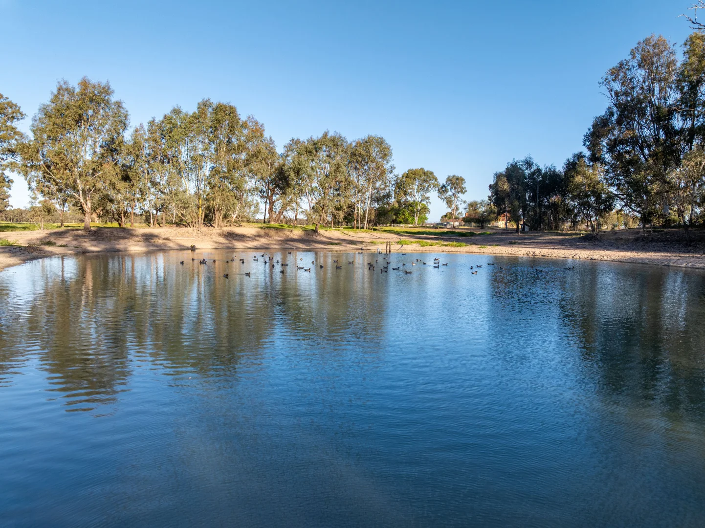 Additional image 18 of 1623 Redlands Road, Ringwood NSW 2646