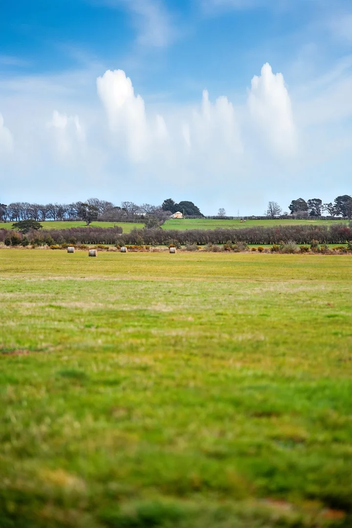 Additional image 19 of 26 Wilmores Lane, Longford TAS 7301