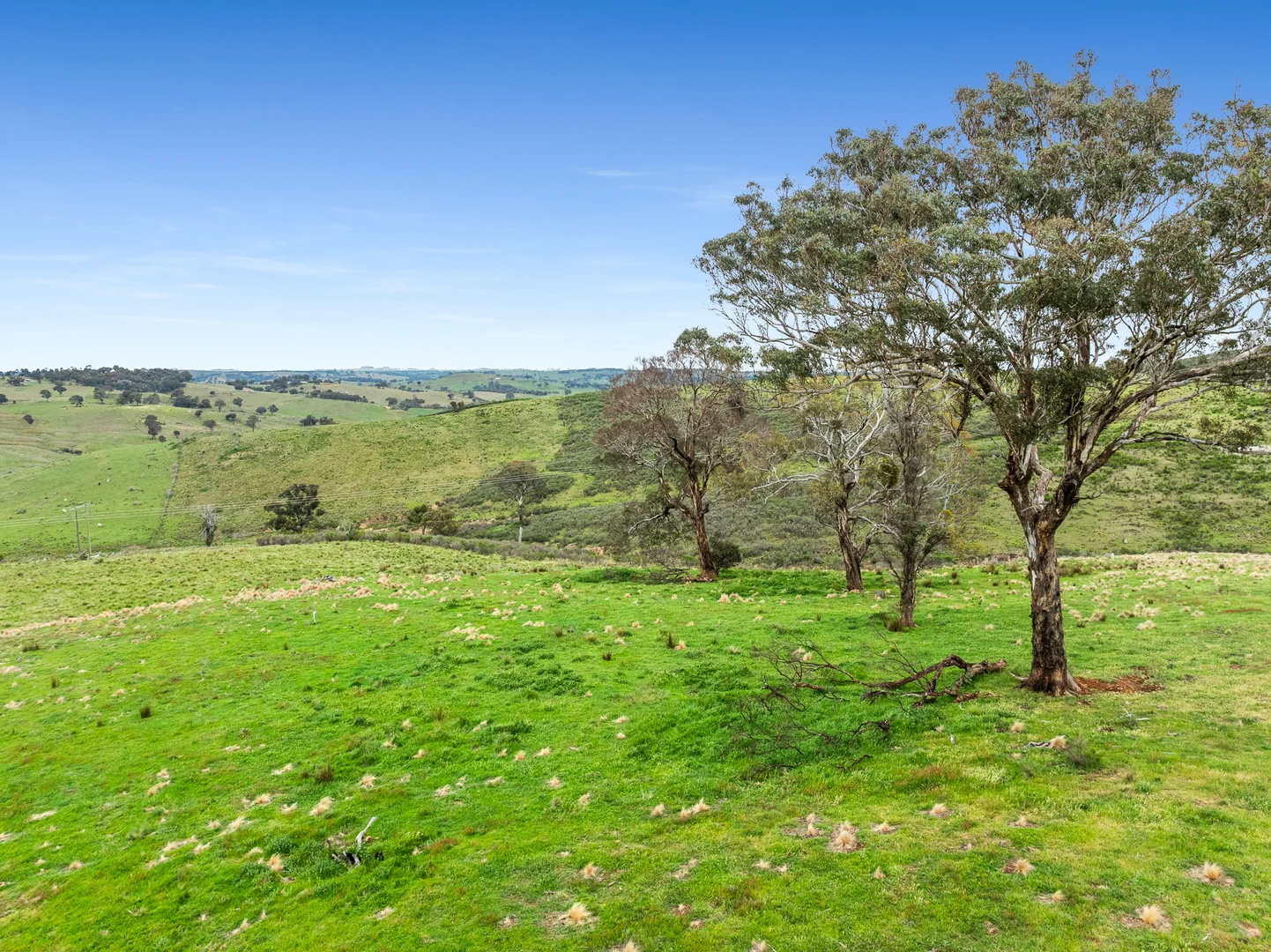 Additional image 17 of 517 White Rocks Road, Lewis Ponds NSW 2800