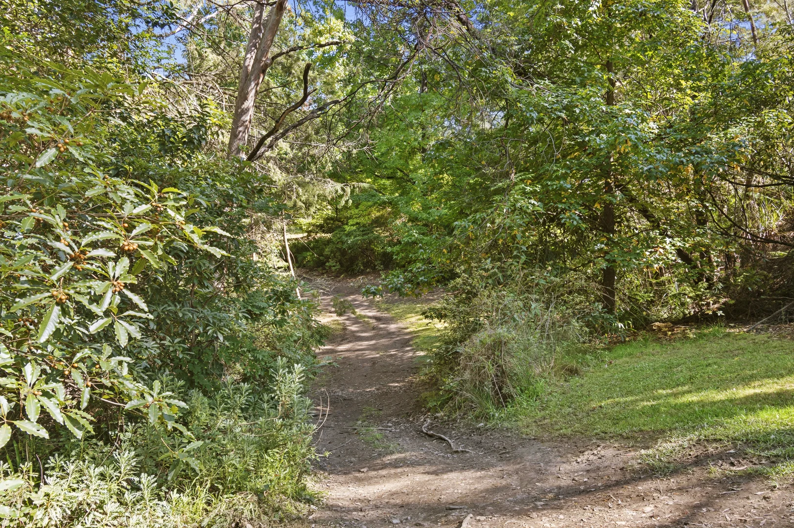 Additional image 25 of 174 Mountain Lagoon Road, Bilpin NSW 2758