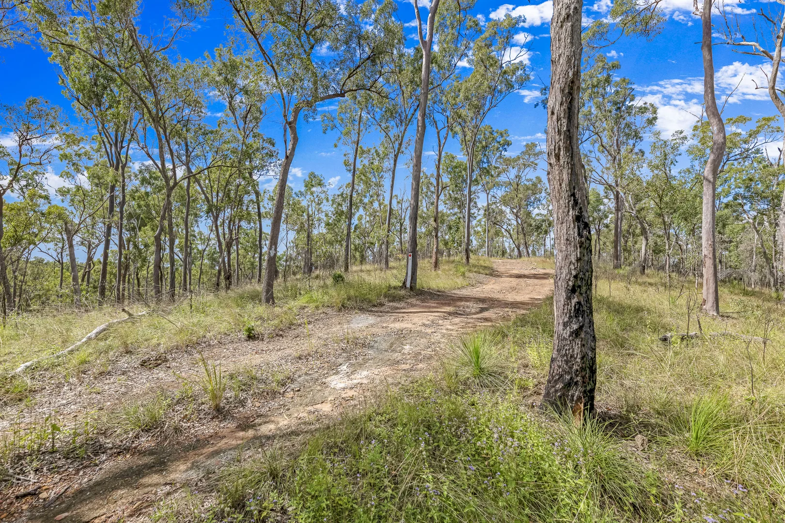 Additional image 3 of 151 Findlay Road, Duingal QLD 4671