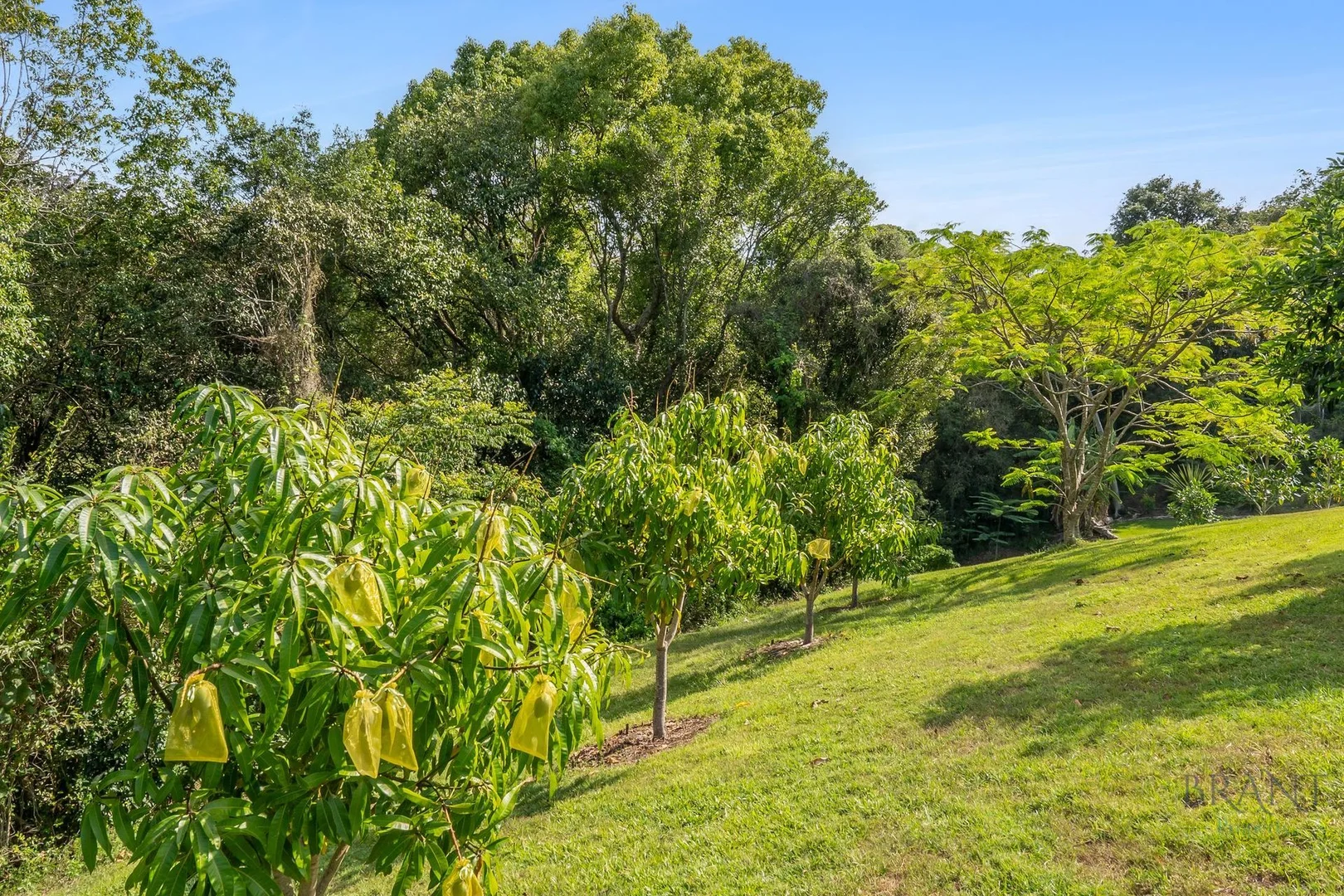 Additional image 30 of 201 Flaxton Drive, Mapleton QLD 4560
