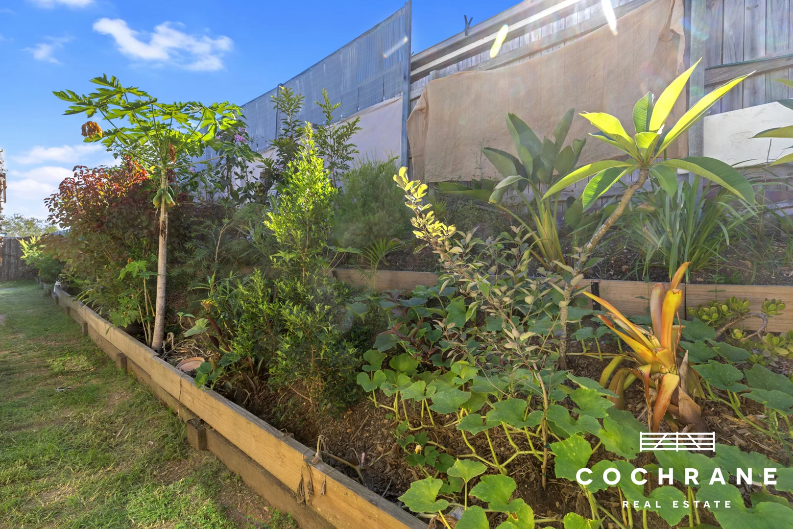 Additional image 11 of 1/13 David Street, Gympie QLD 4570