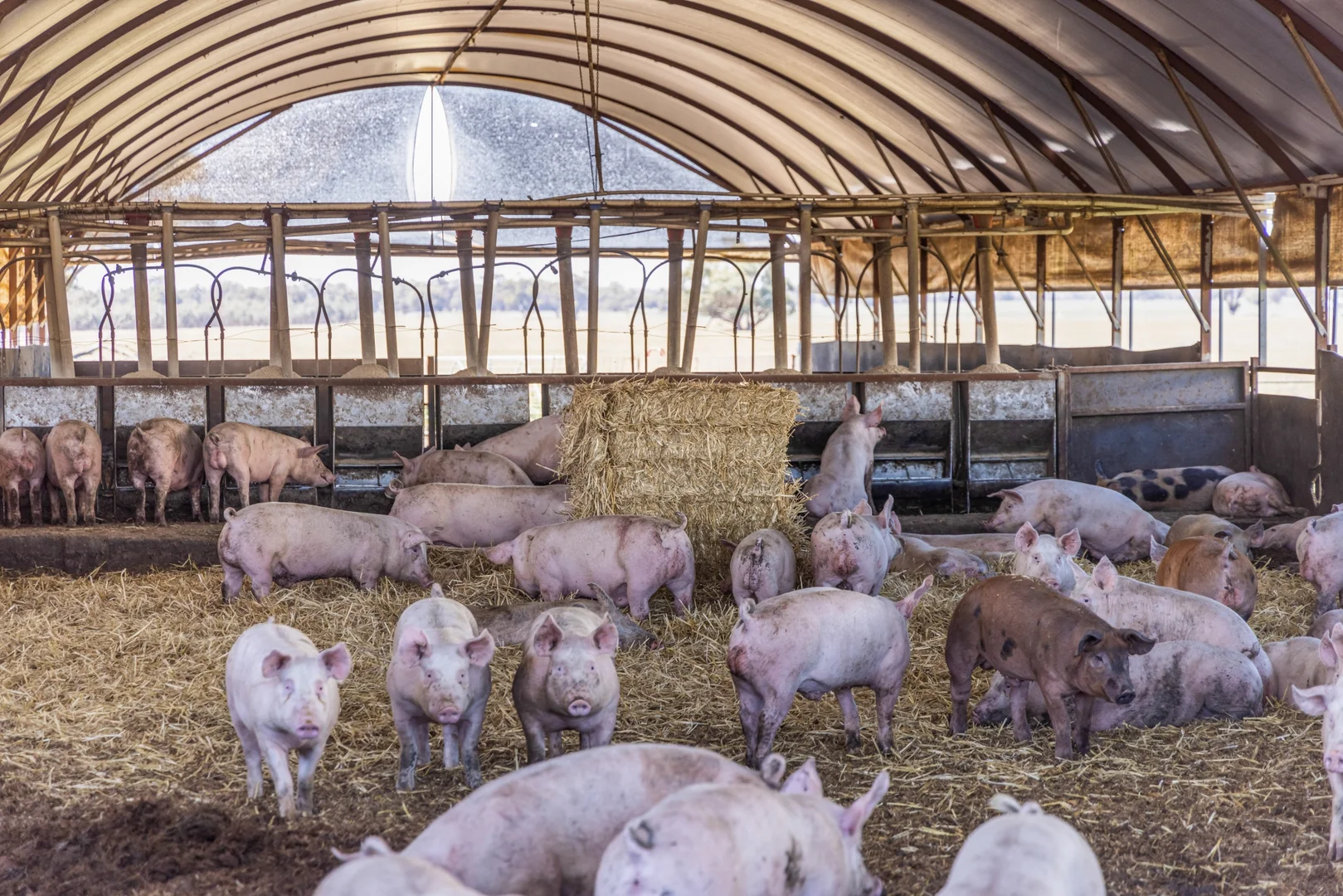 Additional image 4 of 4194 Bridgewater-Maldon Road, Bridgewater VIC 3516