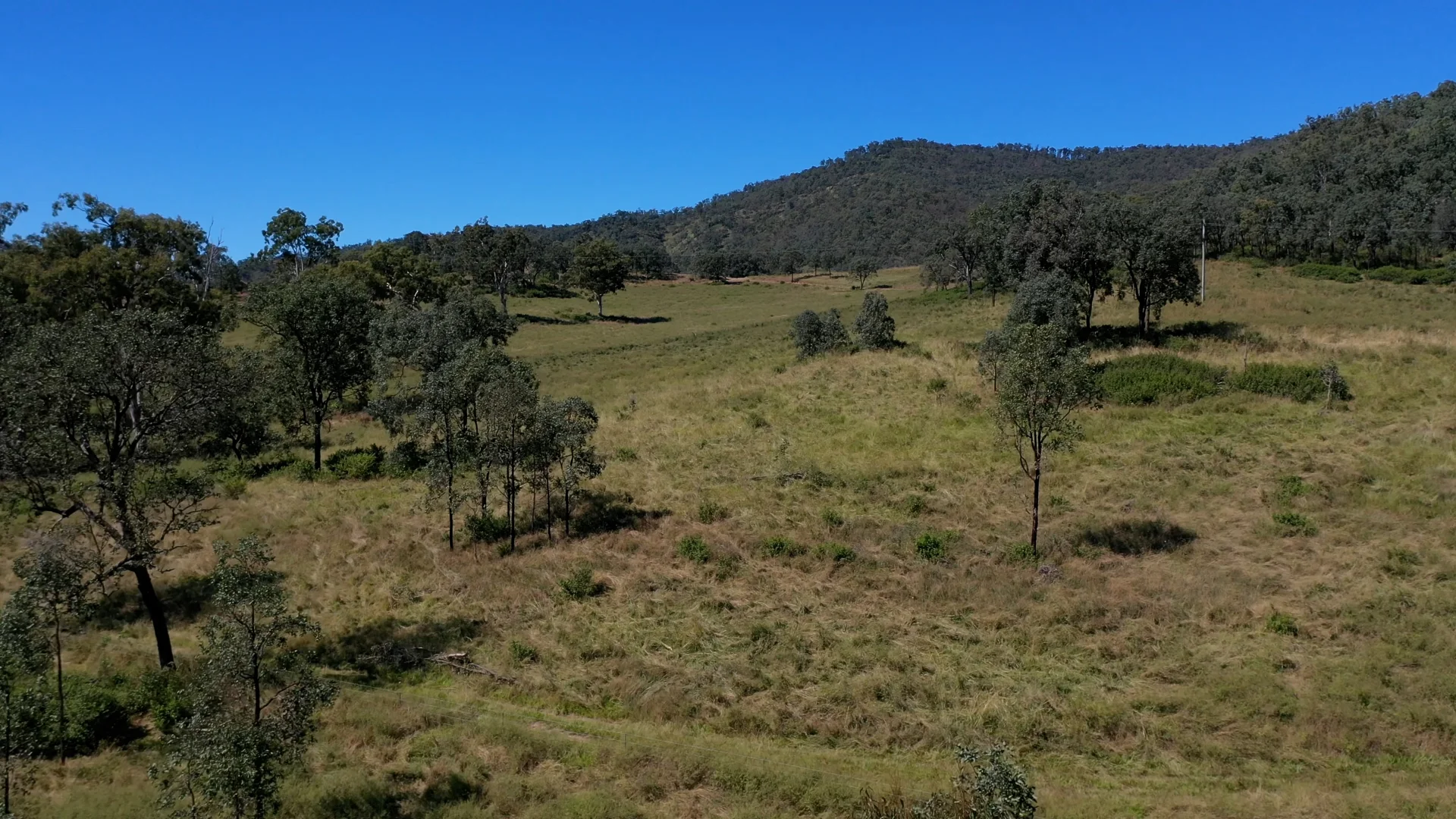 Additional image 10 of 23 Rivertree Road, Tenterfield NSW 2372