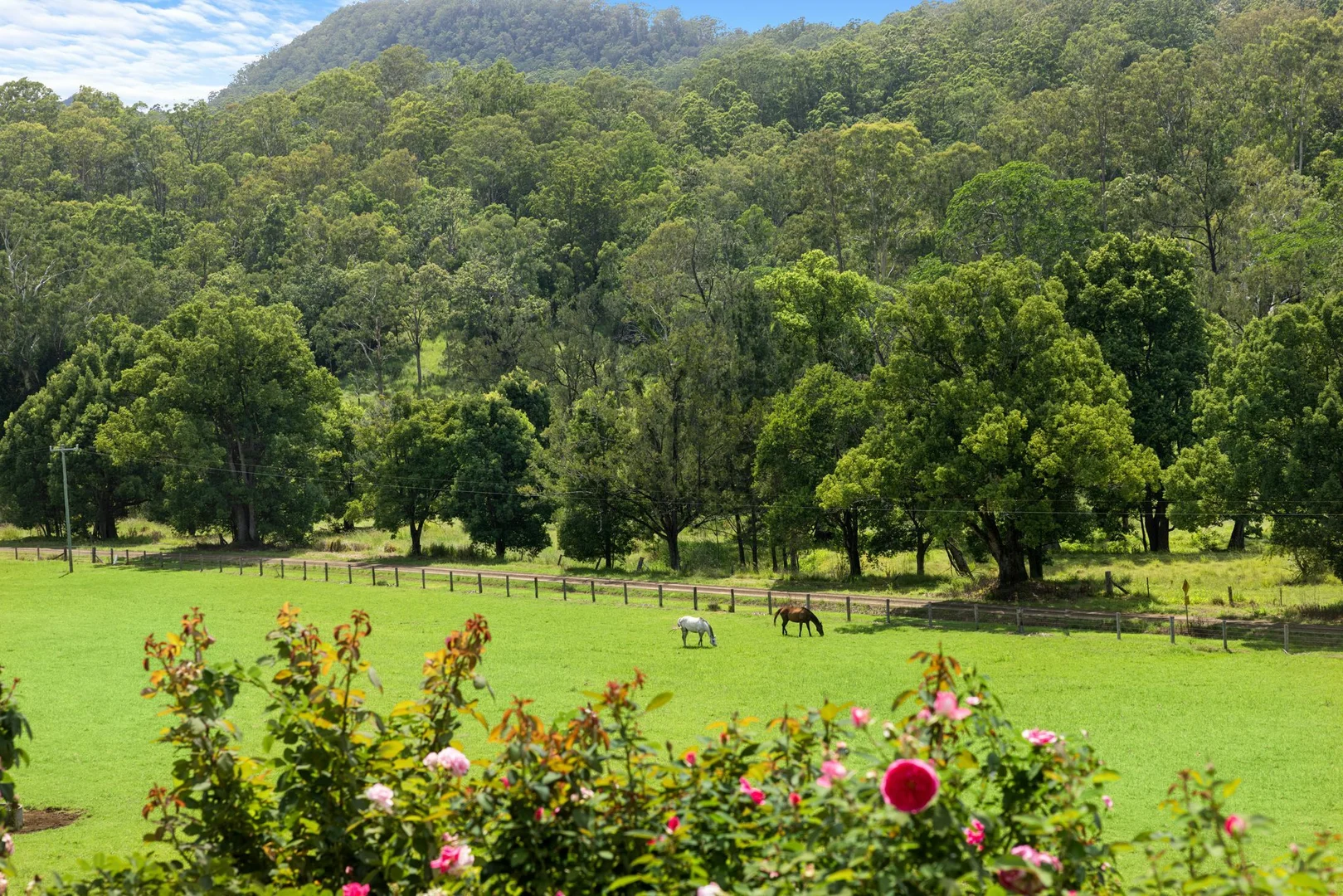 Additional image 39 of 1061 Lynches Creek Road, Kyogle NSW 2474