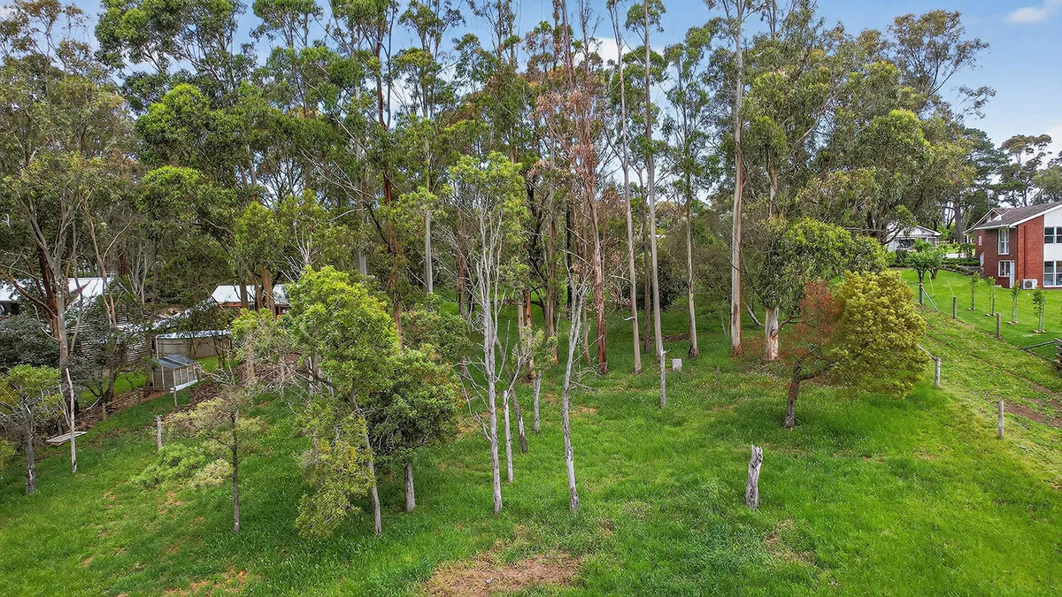 Additional image 25 of 66 Bridge Road, Bushfield VIC 3281