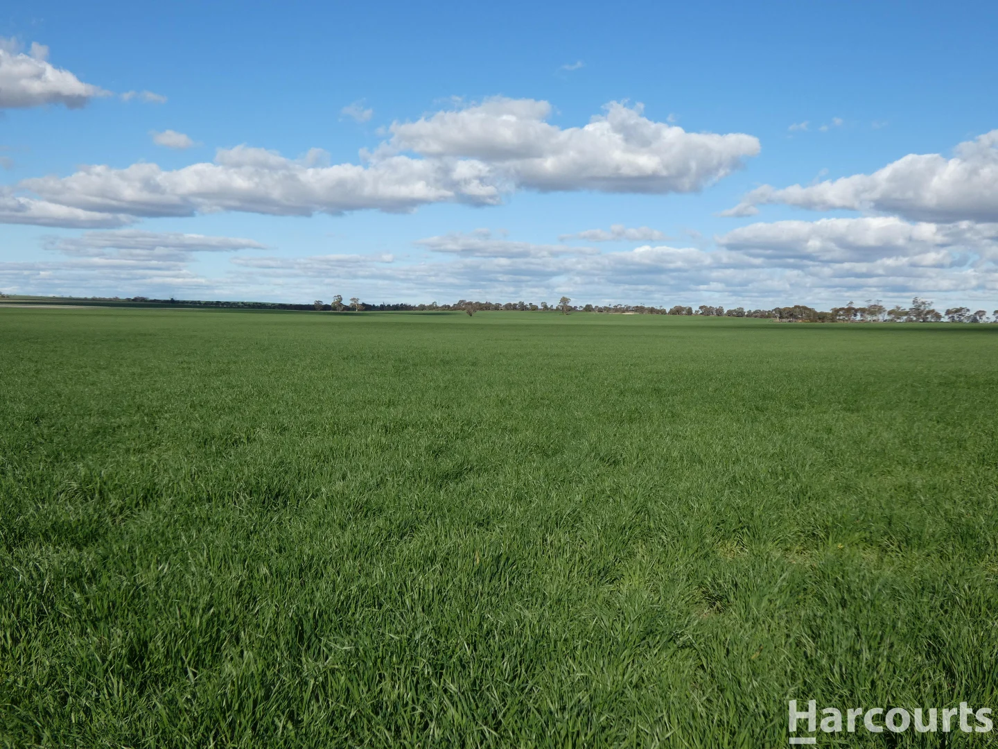 Additional image 12 of 4429 Hopetoun-Rainbow Road, Rainbow VIC 3424