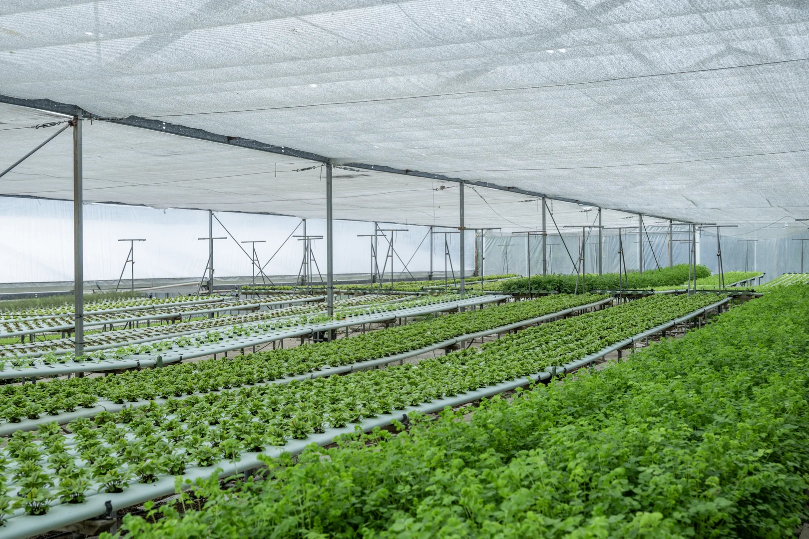 Additional image 28 of 44 Glen Nathan Court, Mount Nathan QLD 4211