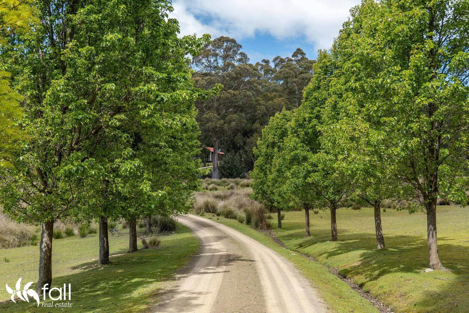 Additional image 3 of 49 Hayes Road, Adventure Bay TAS 7150