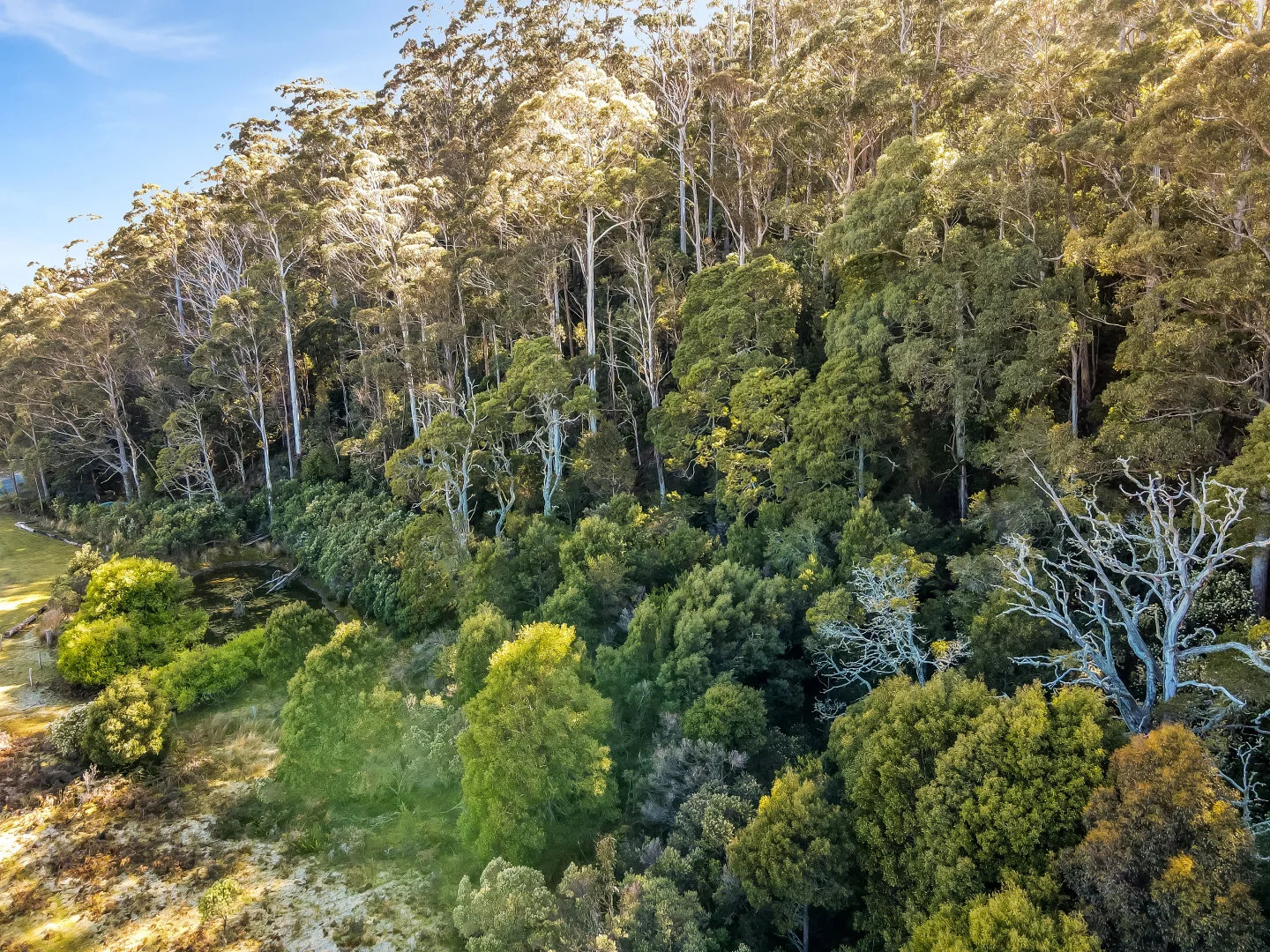 Additional image 8 of Curtis Rd, St Marys TAS 7215