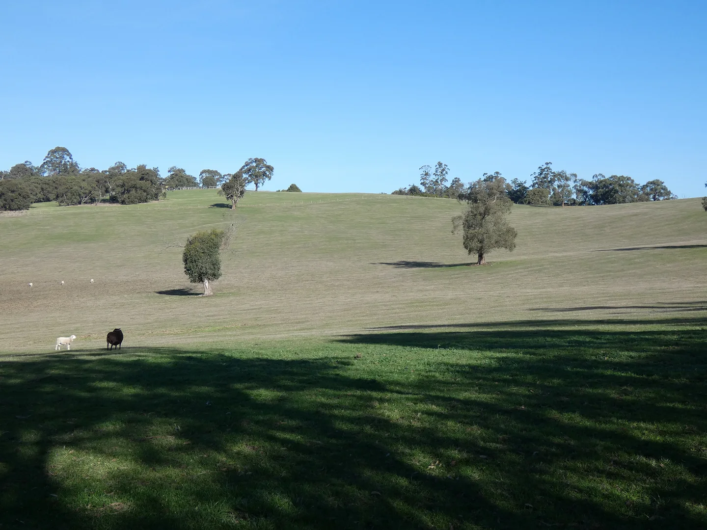 Additional image 20 of 10 Smiths Road, Yellingbo VIC 3139