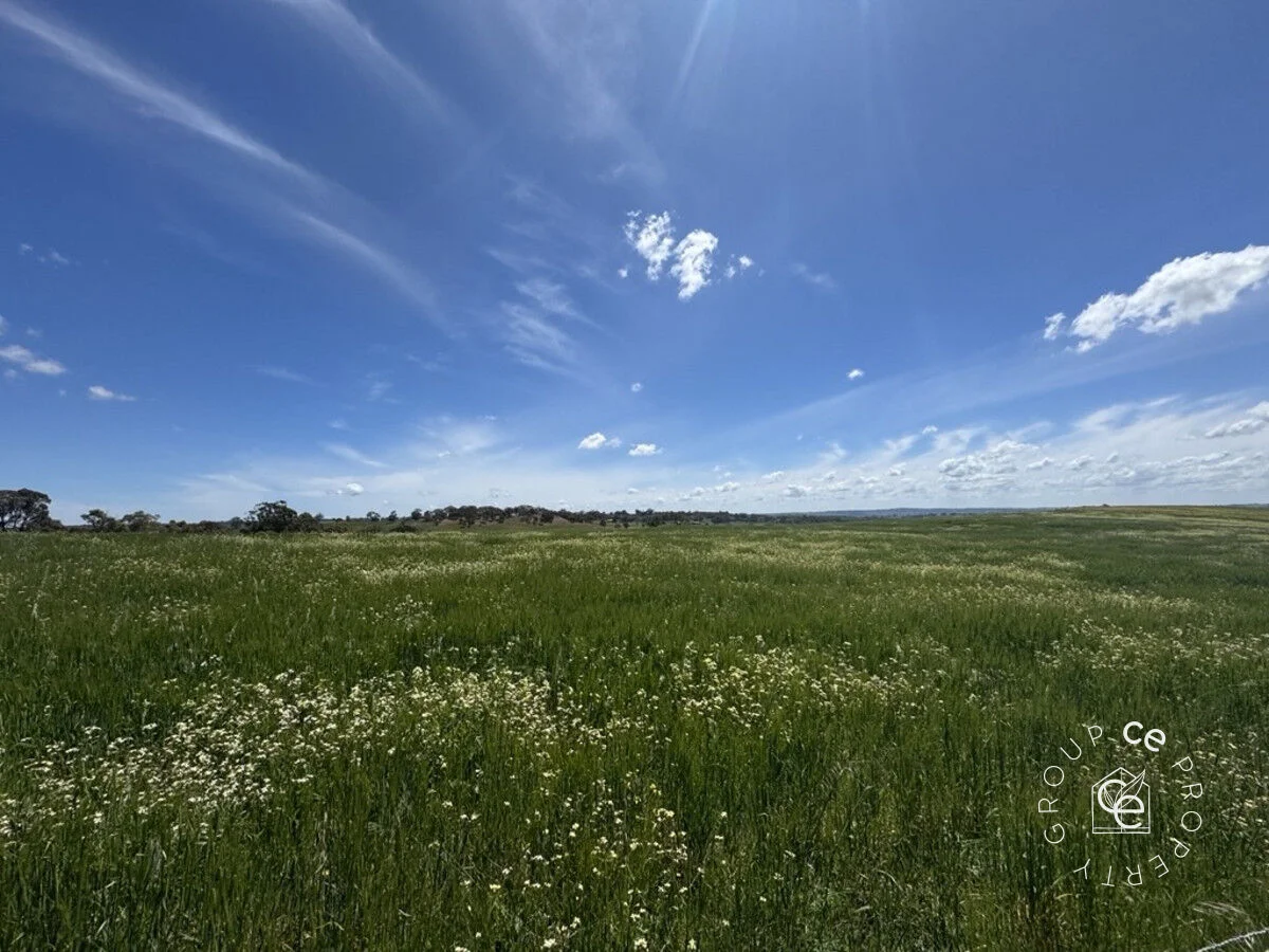 Additional image 5 of Lot 631 Burns Road, Mount Pleasant SA 5235