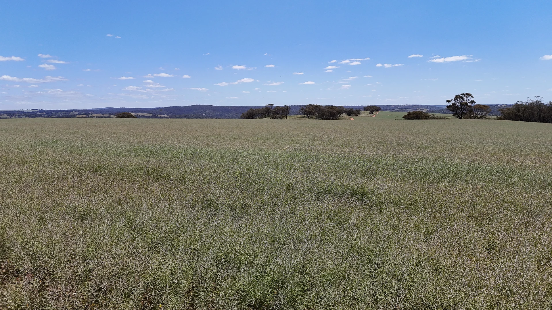 Additional image 7 of 180 Nottingham Road, Toodyay WA 6566