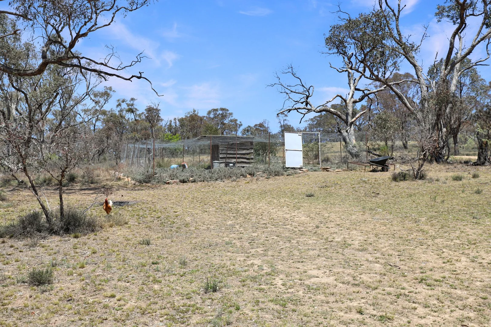 Additional image 30 of 844 Richardsons Road, Bungarby NSW 2630