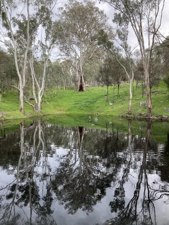 Additional image 19 of 219 Sugar Loaf Hill Road, MoUnt Mckenzie SA 5353