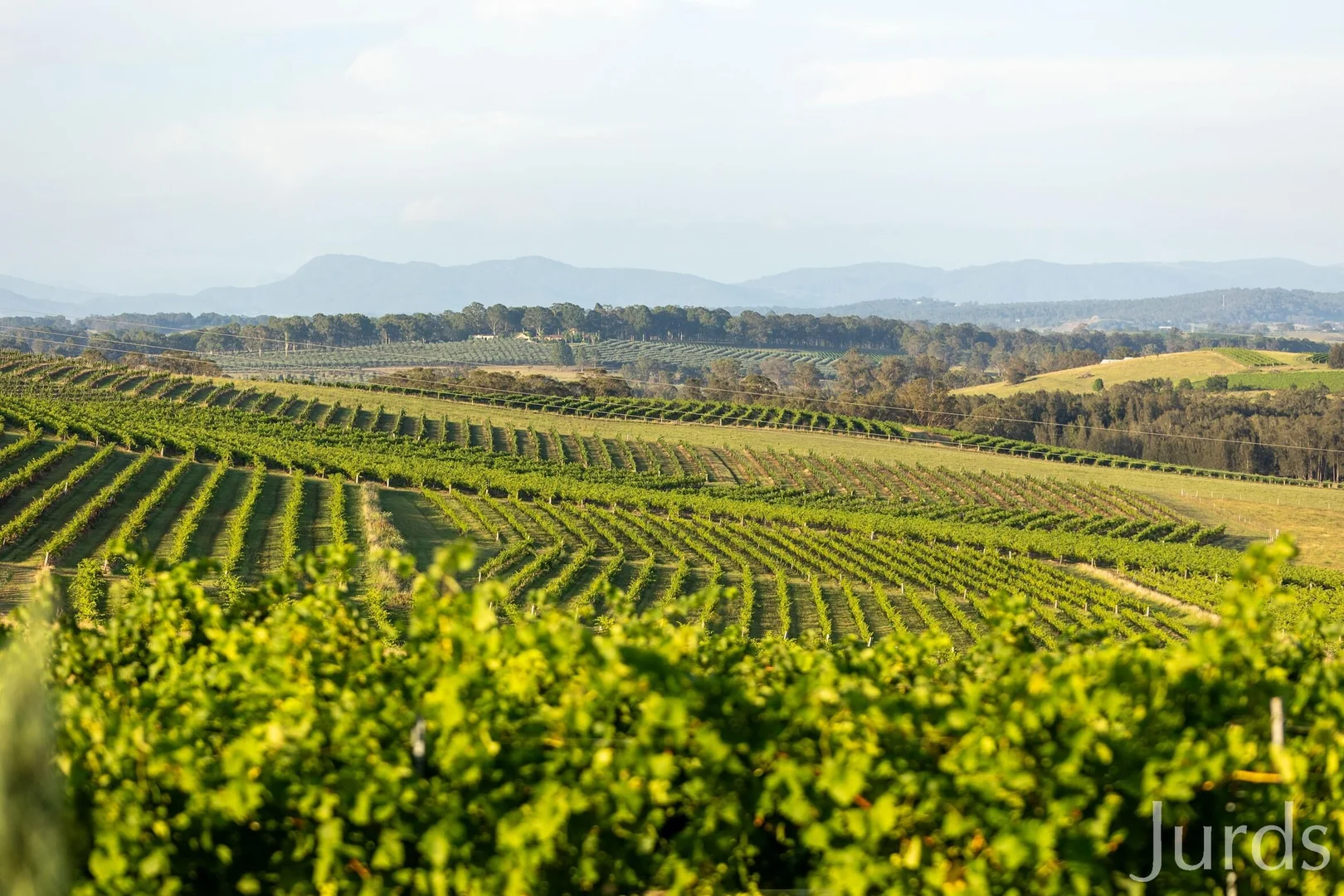 Additional image 2 of Marrowbone Road, Pokolbin NSW 2320