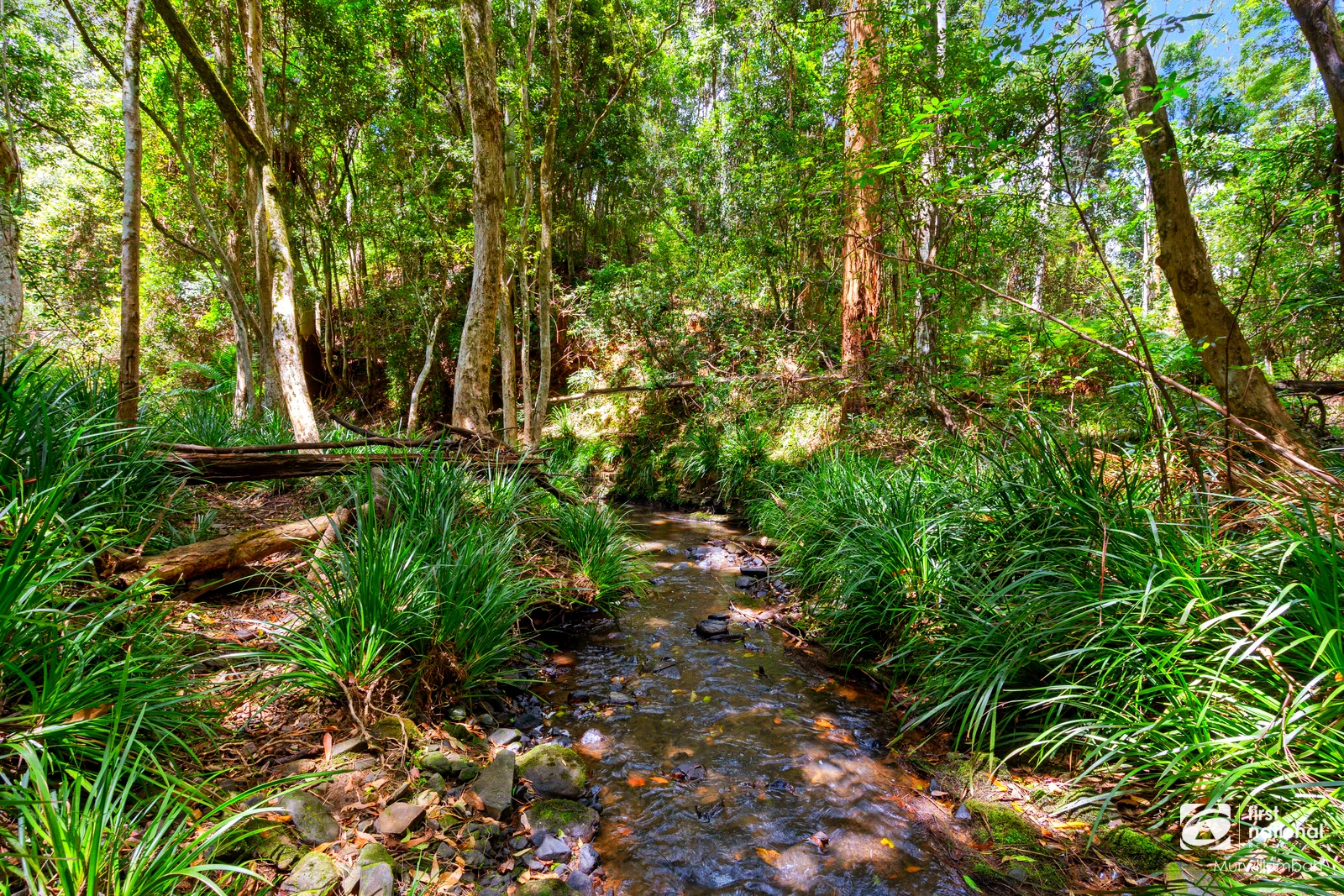 Additional image 32 of 3589 Kyogle Road, Mount Burrell NSW 2484