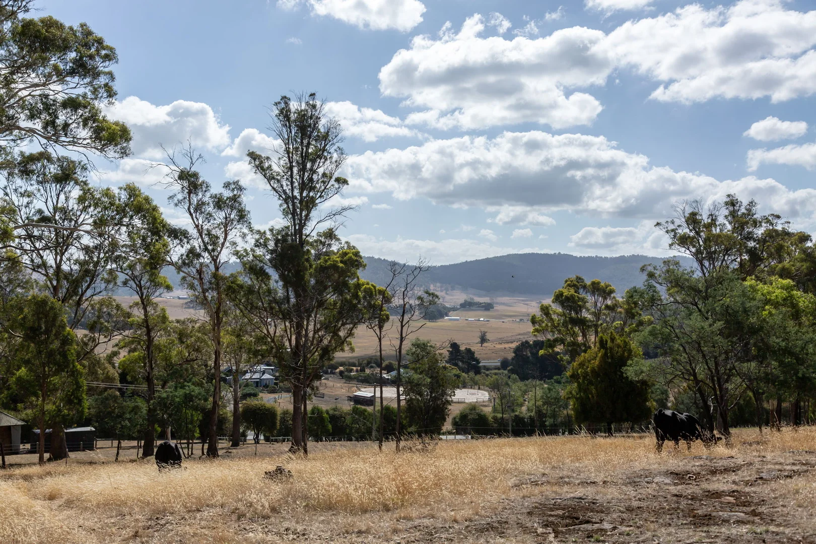 Additional image 13 of 101 Pateena Road, Travellers Rest TAS 7250