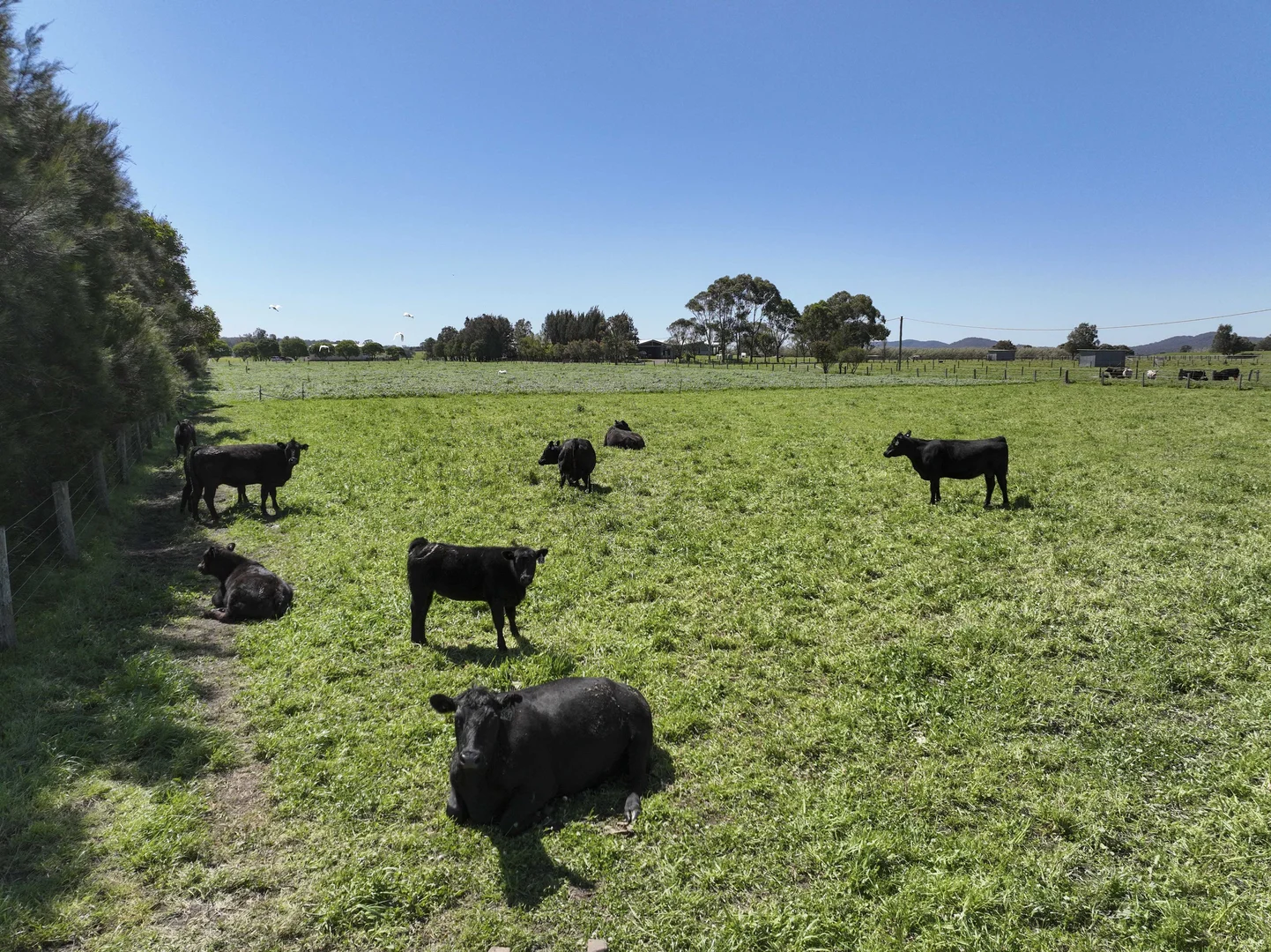 Additional image 7 of 799 Duckenfield Road, Millers Forest NSW 2324