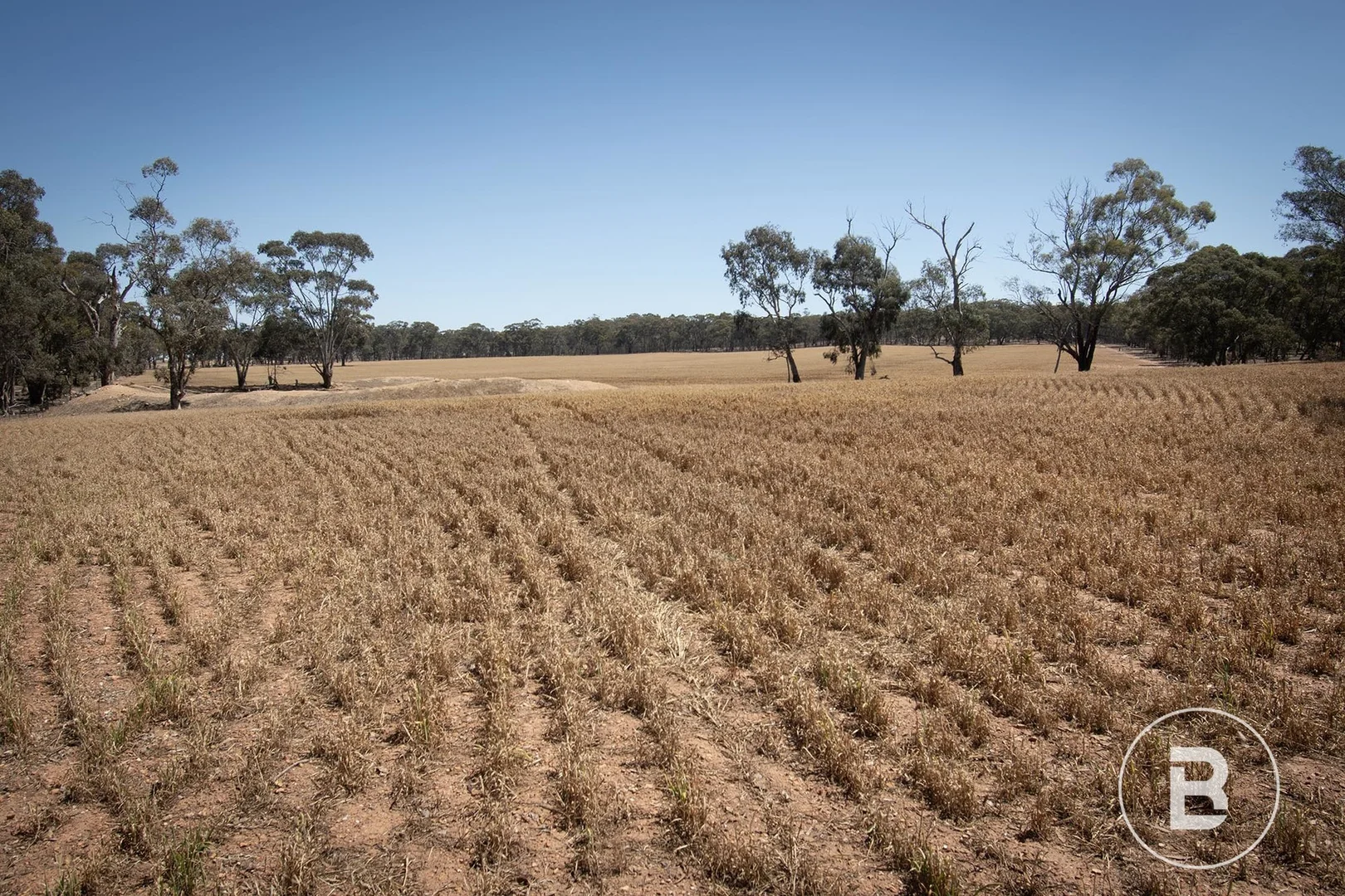 Additional image 13 of 52 Tunstalls Road, Bealiba VIC 3475
