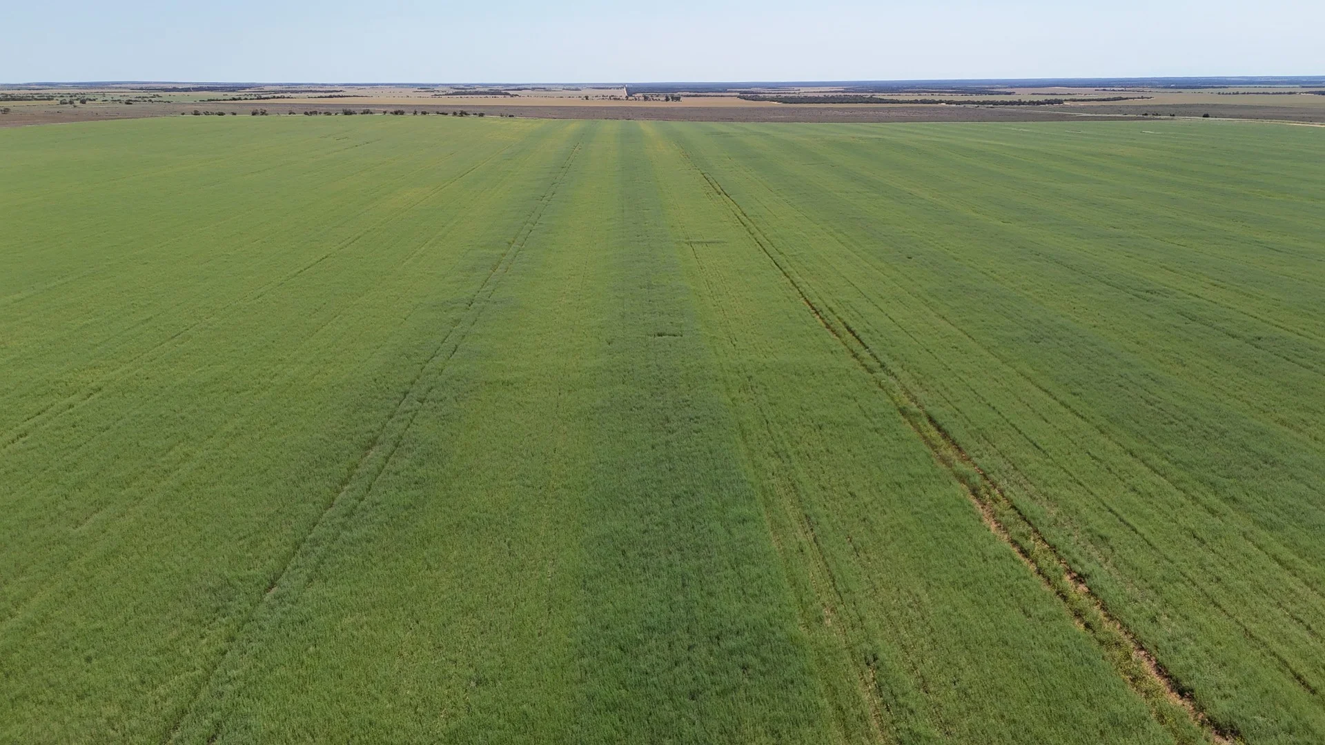 2064 Binnu Road East, Ogilvie WA 6535