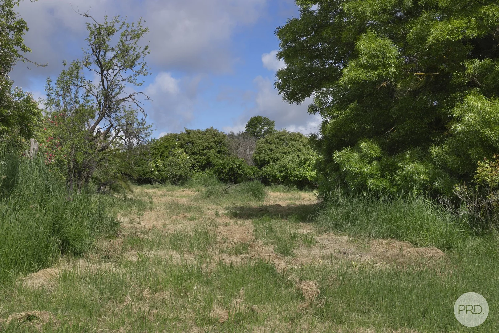 6 MacDonald Street, Clunes VIC 3370