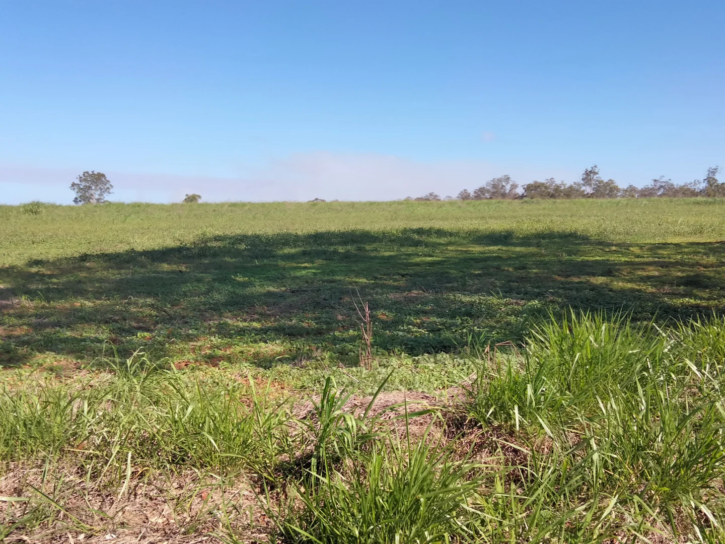 Additional image 57 of 2913 Rosedale Road, Yandaran QLD 4673