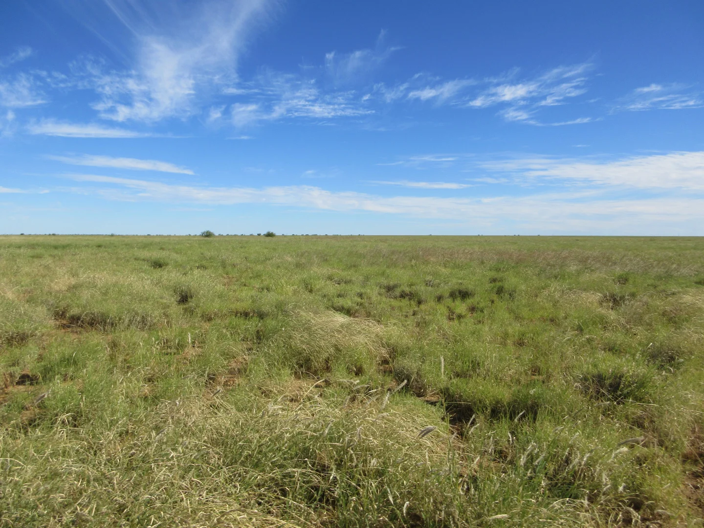 Additional image 2 of 715 Royston Lane, Longreach QLD 4730