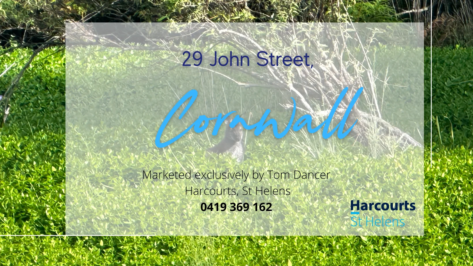 Additional image 8 of 29 John Street, Cornwall TAS 7215