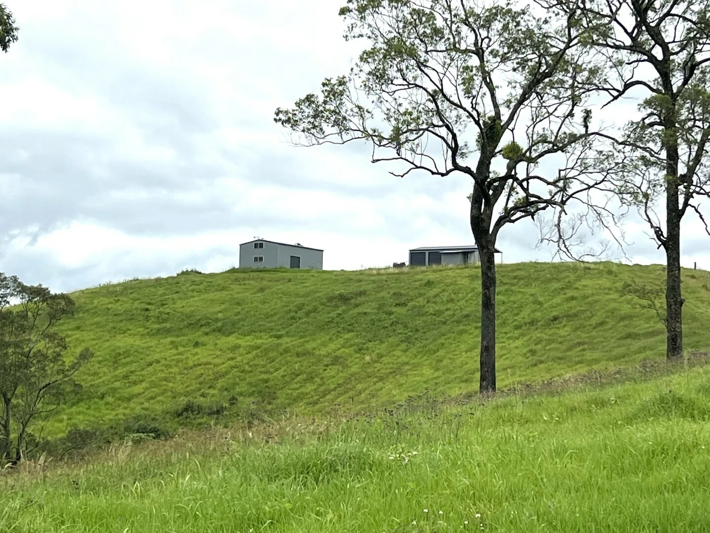 Additional image 12 of 59 Wyndham Road, Wyneden NSW 2474