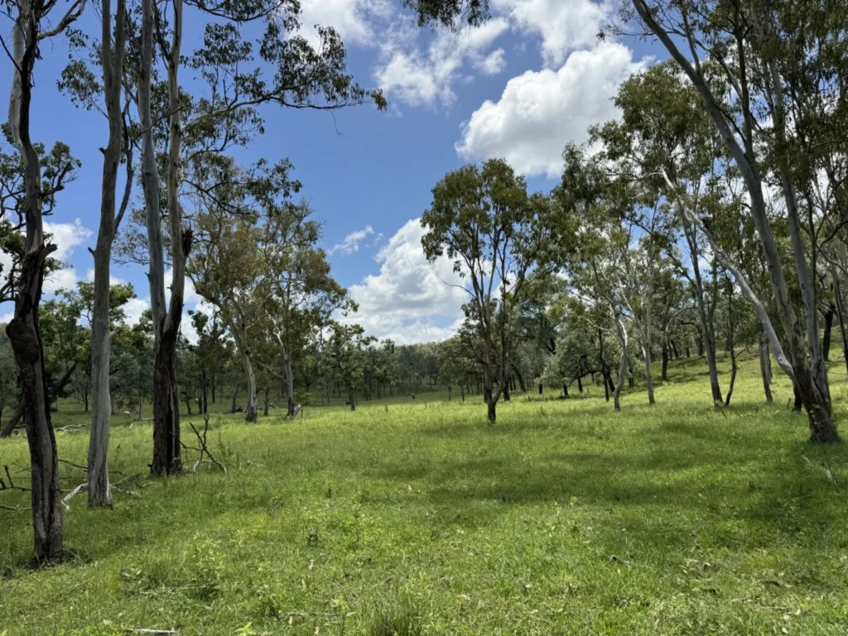 Additional image 35 of 2655 Clonmel Road, Monto QLD 4630