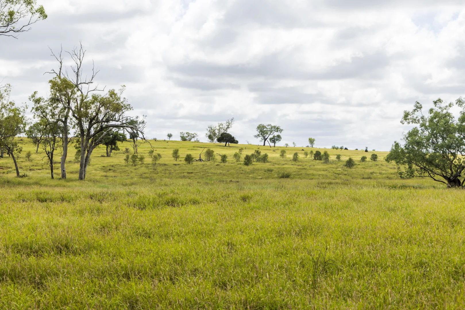 Additional image 5 of 205 Redbank Road, Roma QLD 4455