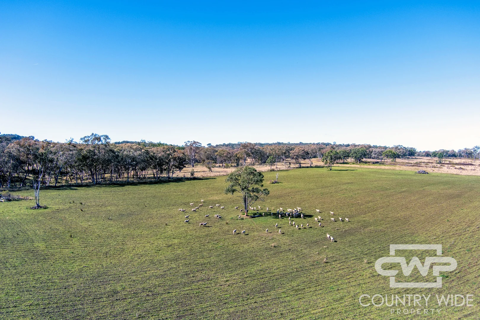 Additional image 12 of 8, - Emmaville Road, Emmaville NSW 2371