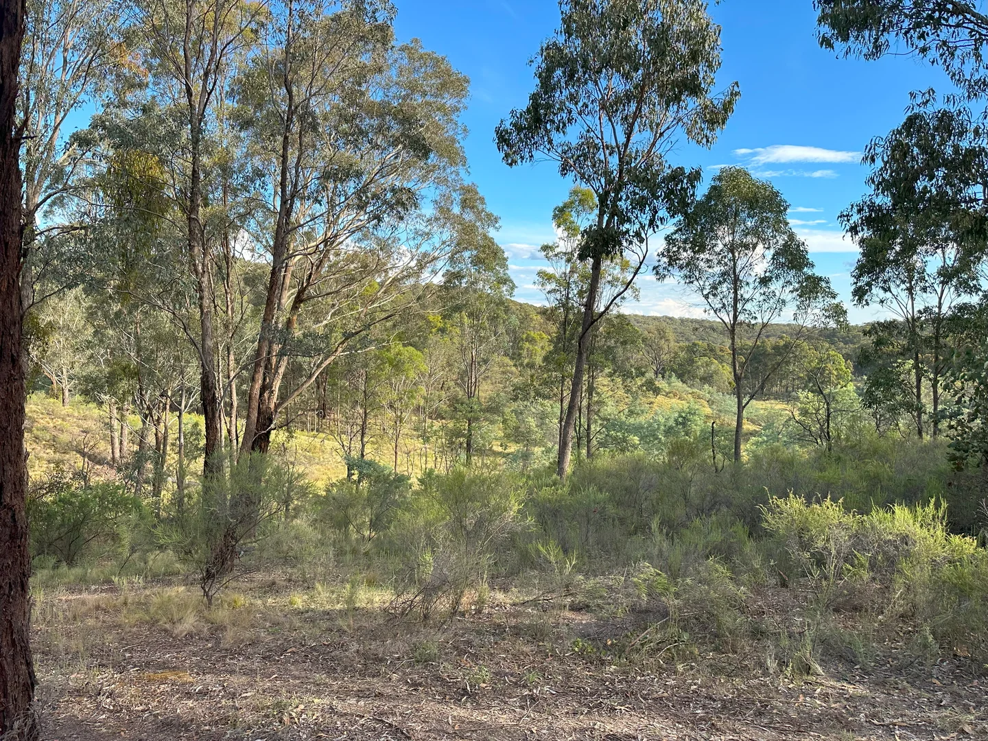 Additional image 17 of Lot 2 Kentucky Road, Neville NSW 2799