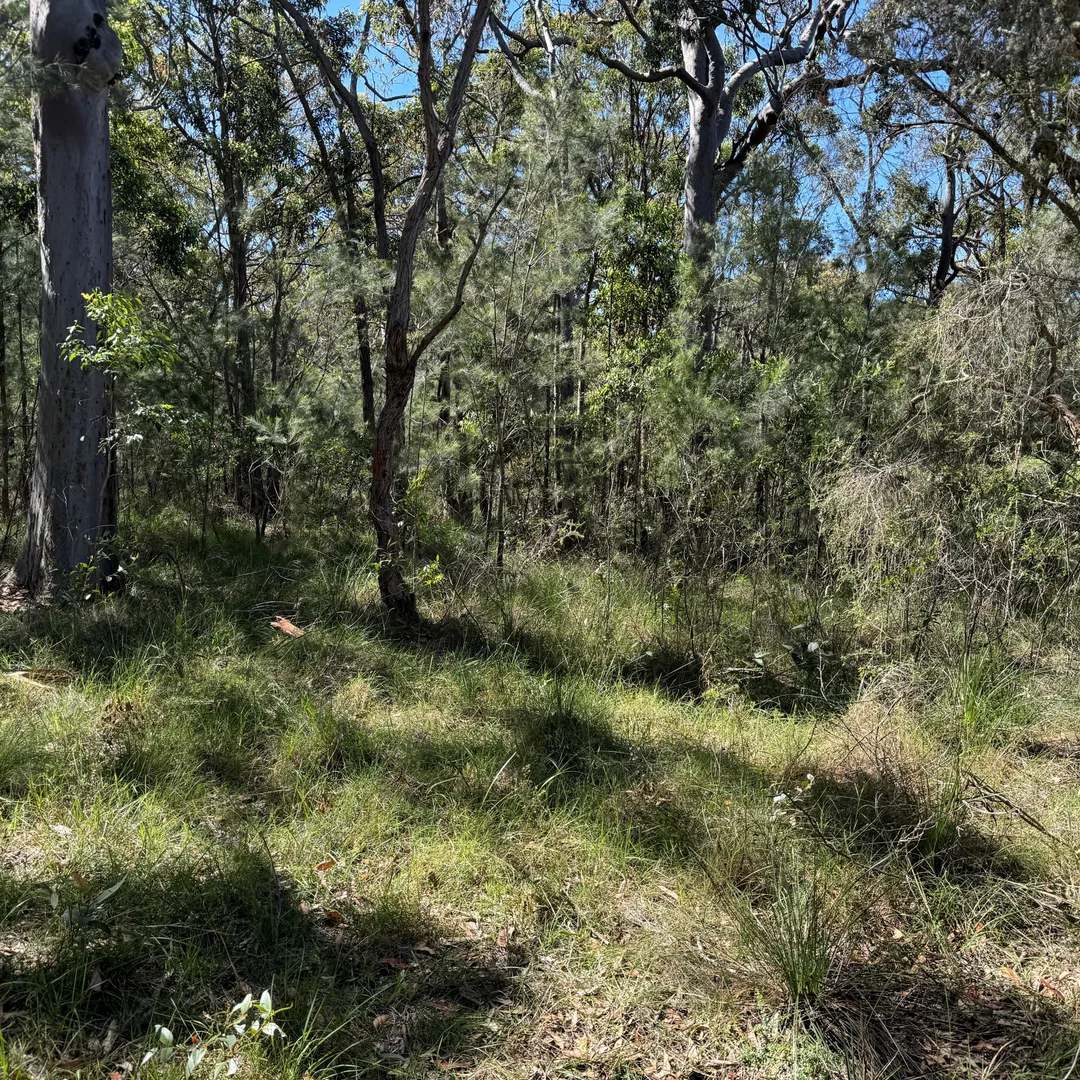 Additional image 2 of 22 Carrington Avenue, Pindimar NSW 2324