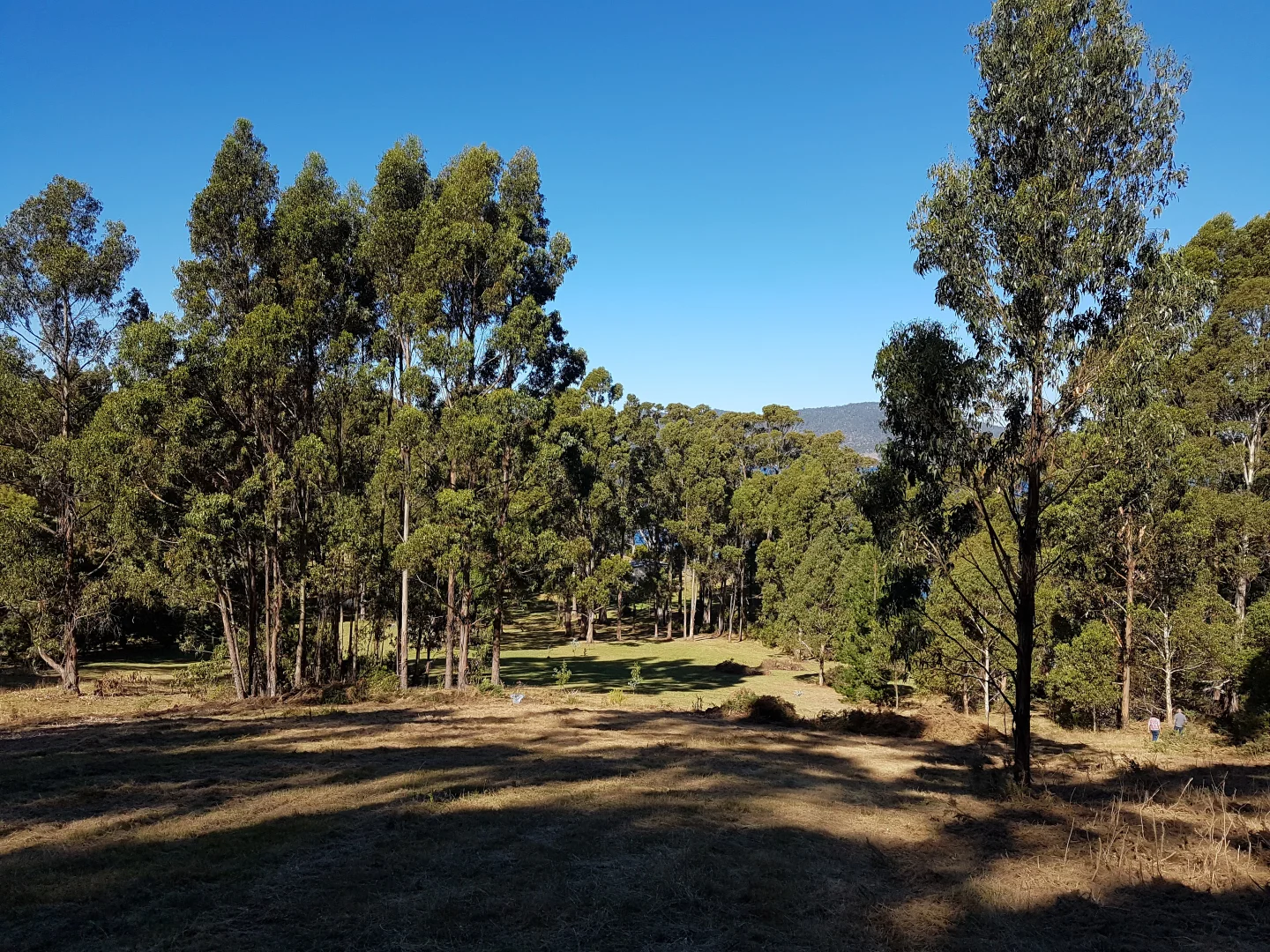 Additional image 8 of 16 & 20 Russell Street, Gordon TAS 7150