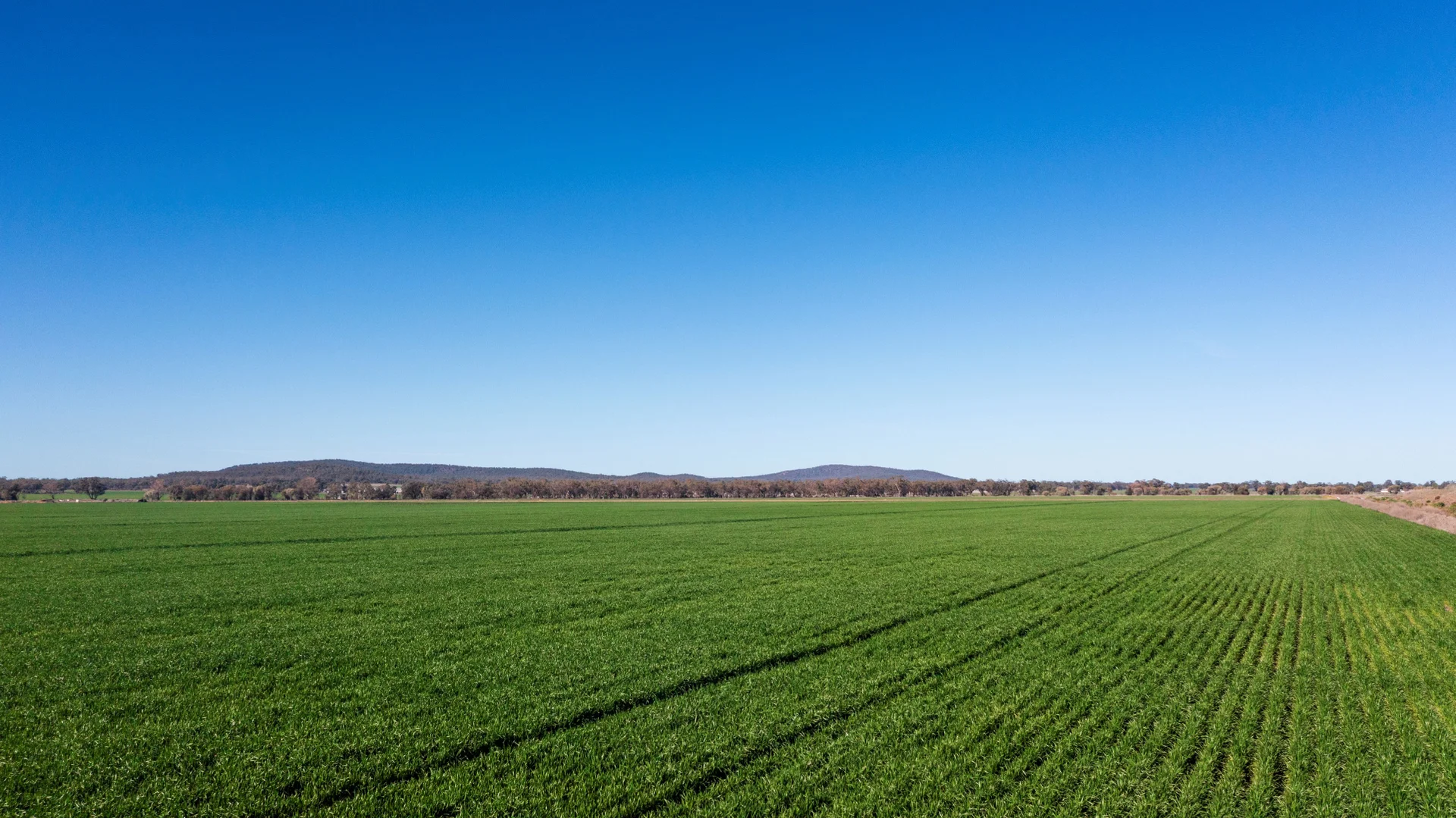 Additional image 13 of Sandy Camp & Kimaroi Sandy Camp Road, Condobolin NSW 2877