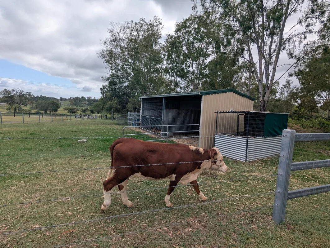 Additional image 3 of 87 Gehrke Road, Glenore Grove QLD 4342