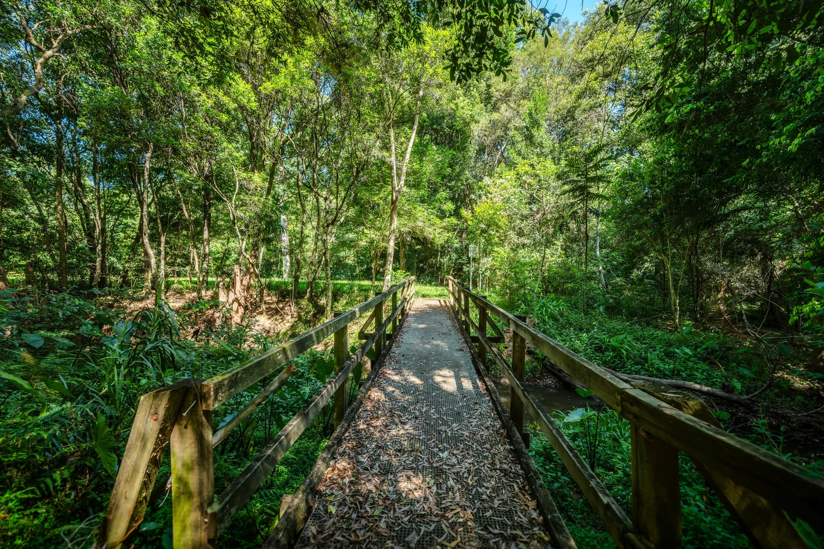 Additional image 14 of 13 Connell Place, Bellingen NSW 2454