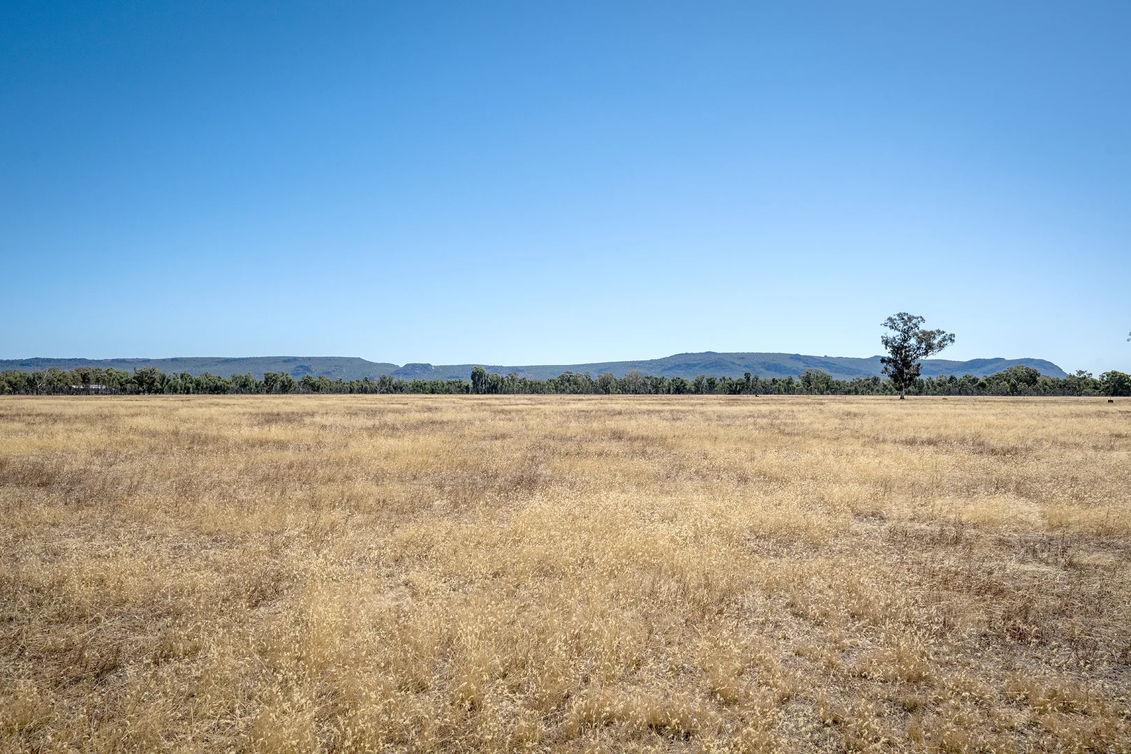 Additional image 6 of Golton South Road, Dadswells Bridge VIC 3385